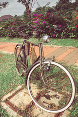 Fototapeta na wymiar Retro vintage bike on cobblestone street in the park. Old charming bicycle. Retro styled image of a nineteenth century bicycle. for activity and healthy lifestyle