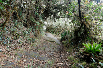 Fototapeta premium Paramo de Sumapaz Colombia landscape, nature