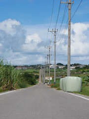 沖縄のシュガーロード