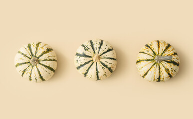 Ripe pumpkins on light background
