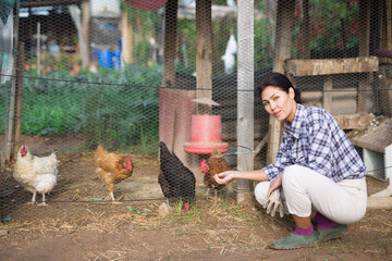 Female farmer feeds hens in chicken coop in the backyard of country house © JackF