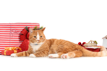 Cute red cat with Christmas gifts on white background