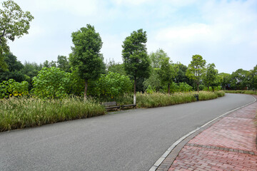 road in the park