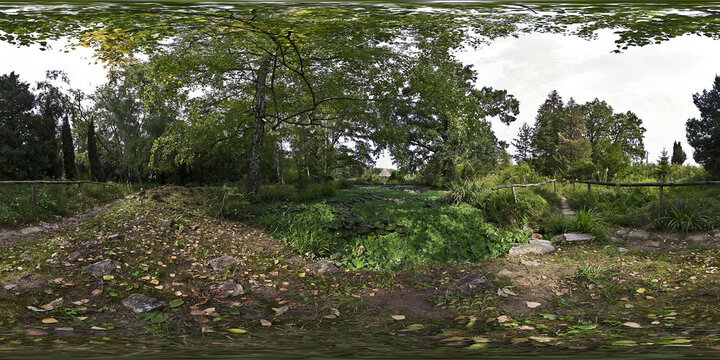 Waterlily and frog bit marsh