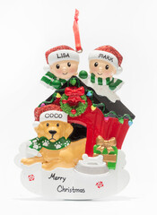 christmas gingerbread cookies