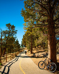 Obraz premium bicycle path in autumn park