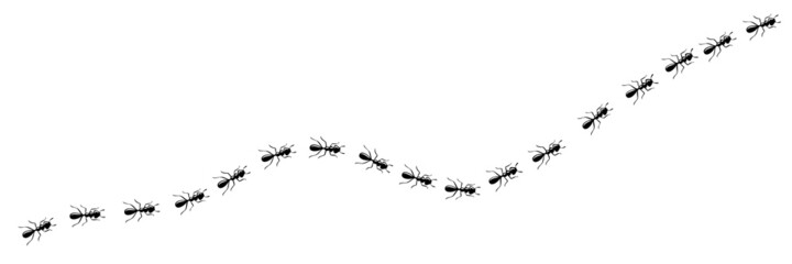 Worker ants trail curve. Ant path isolated in white background. Vector illustration