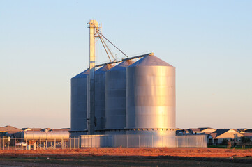 Obraz premium Three large steel grain silos with elevated conveyor system are illuminated by sunset light, situated near suburban housing, illustrating the coexistence of agriculture and residential development