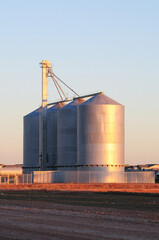 Metal grain silos with overhead conveyor system at agricultural facility during golden hour, illustrating crop storage infrastructure and rural agribusiness operations © Eduardo Barraza