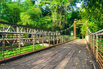 wooden planks and steel cable bridge in tropical forest Blanchisseuse Trinidad