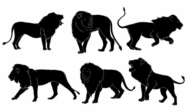 Hand drawn silhouette of male lion