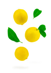 Juicy ripe flying yellow lemons with cut and green leaves. Abstract shot of lemons flying in the air. Creative summer minimalistic background.