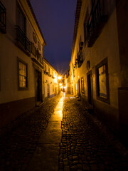 Fototapeta na wymiar Portugal, Night view of city Main Street