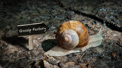 Street Sign GOSSIP FACTORY