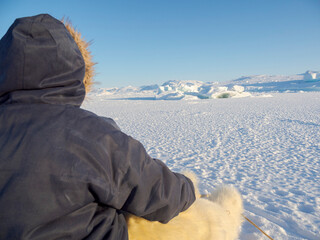 Inuit hunter on dog sled, wearing traditional trousers and boots made from polar bear fur on the sea ice of the Melville Bay near Kullorsuaq in North Greenland. North America, danish territory © Danita Delimont