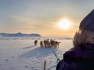 Inuit hunter on dog sled on the sea ice of the Melville Bay near Kullorsuaq in North Greenland....
