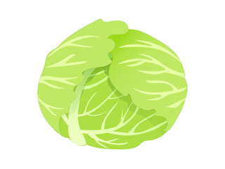 キャベツ_野菜