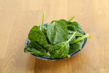 Fresh green spinach leaves in the bowl