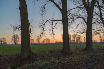 Fototapeta na wymiar Sunset Scenery at nature reserve nearby Duesseldorf / Germany