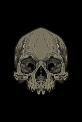 Skull artwork illustration hand drawing