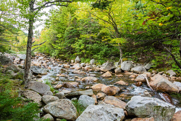 Landscape around Ellis River near Pinkham Notch mountain pass in the White Mountains of New...