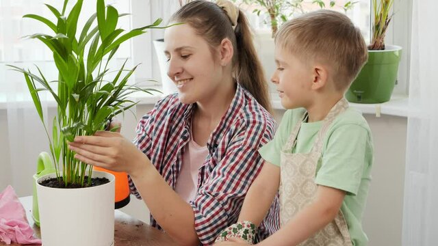 ittle boy looking at mother watering and taking care of domestic plants. Concept of gardening, hobby, home planting.