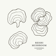 Set of line art reishi mushrooms