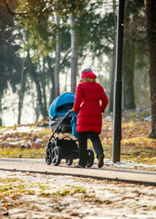 Girl carries a child in a wheelchair in the winter Park
