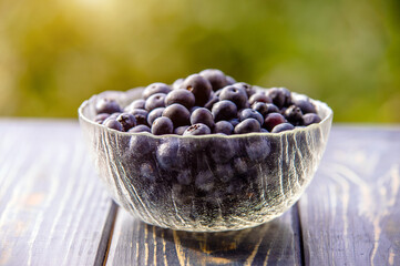A plate of blueberries stands on a green natural background
