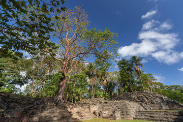 Belize, Toledo. Lubaantun Archeological Site.