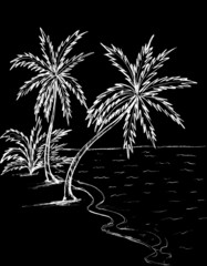 A beach with white palm trees on a black background