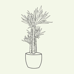 Outline of a potted palm tree