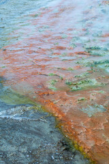 Chile, San Pedro de Atacama, Tatio Geysers. The geyser field contains many colorful areas of mineral deposits among which tourists can walk.