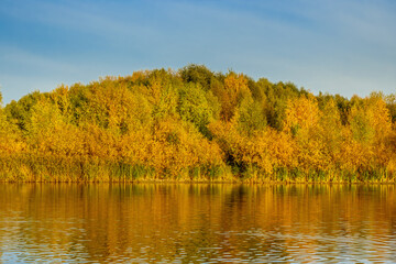 Forest near the river bank in the autumn. The yellow and orange foliage is brightly lit by sun. Trees are reflected in the river. In the background, a white and blue sky