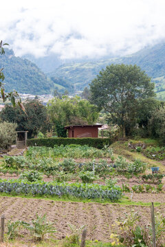 Ecuador. Termas De Papallacta Lodging Farm To Table Dining Cloud Forest Area Cayambe Coca Natural Reserve.