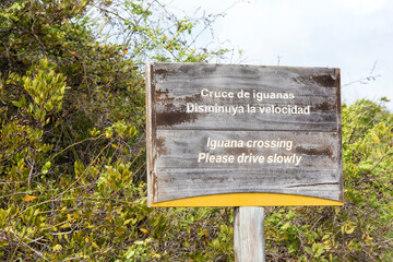 Ecuador, Galapagos Islands. Wildlife protection sign outside Iguana Crossing Hotel, Puerto Villamil, Isabela Island.