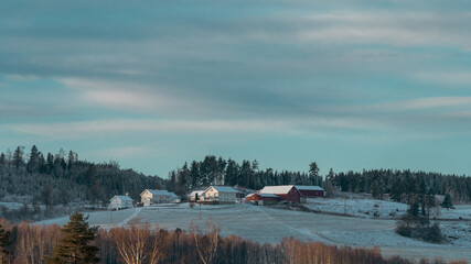 farmland in early winter