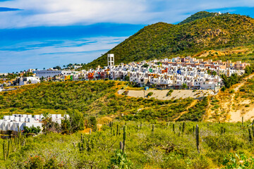 Mexican Village, Sonoran Desert shrubland in Cabo San Lucas, Mexico.