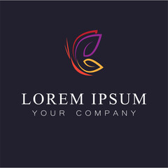 Beauty Butterfly Vector icon design