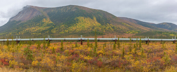 USA, Alaska. Fall colors in the tundra on the Dalton Highway to Prudhoe Bay on the North Slope.