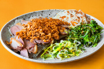 Duck meat with roasted onion, green salad leaf, carrot and sprouted bean, glass noodle on plate.