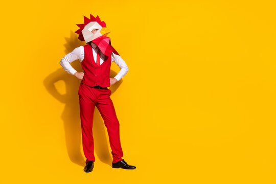 Photo of anonymous guy hands hips self-assured pose wear rooster mask red suit isolated yellow color background