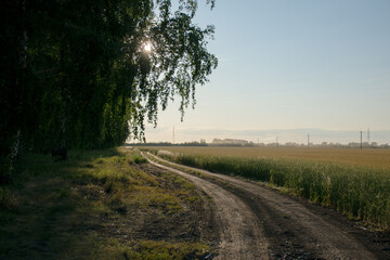 sunset, forest, field