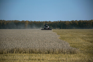 Fototapeta premium combine harvester
