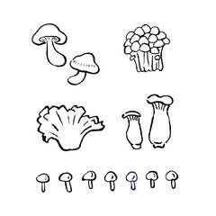 2f6979e8-15e6-49e1-adfe-9457e1ad35c2-1638499675820