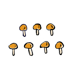 2f6979e8-15e6-49e1-adfe-9457e1ad35c2-1638499675820