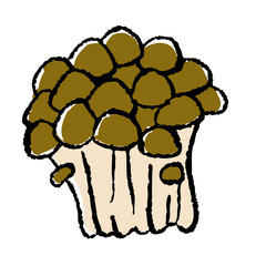 2f6979e8-15e6-49e1-adfe-9457e1ad35c2-1638499675820