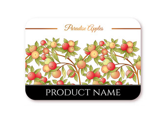 Apples on branches Template for product label, cosmetic packaging. Easy to edit. Vector illustration. On white background.