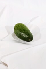 avocado on white background