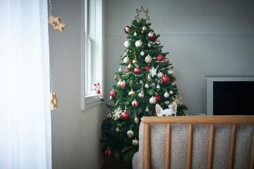 クリスマスツリーと白い犬チワワ